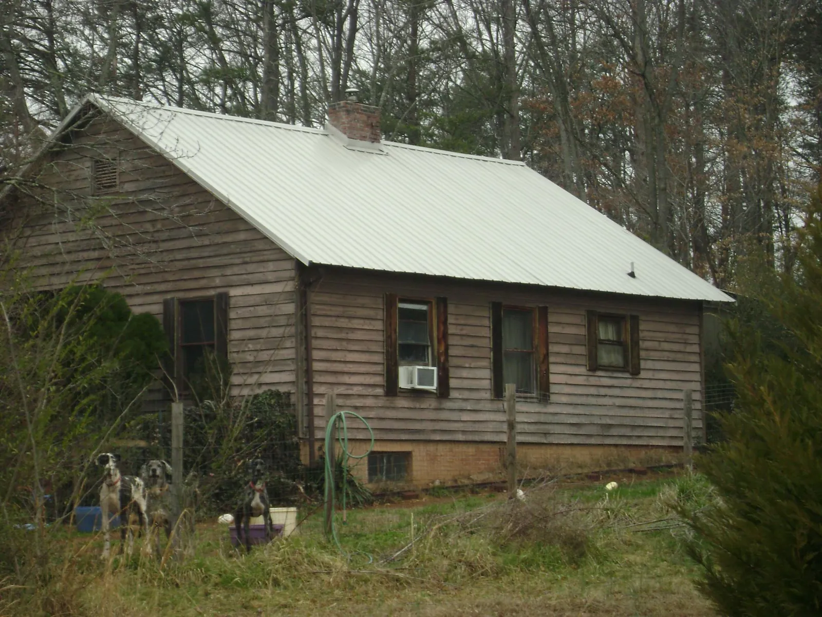 White metal roof on an old wood sided farmhouse, from a Asphalt Shingle Roof Repair job in Conneaut